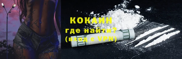 тгк Елизово