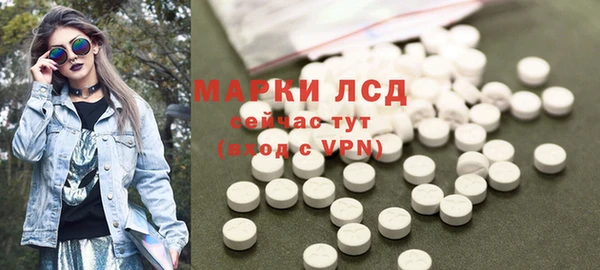 гидра Заводоуковск