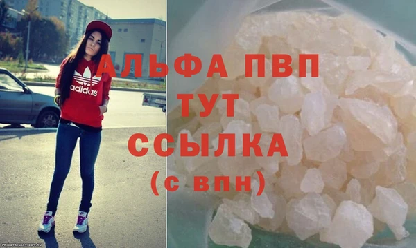 гидра Заводоуковск